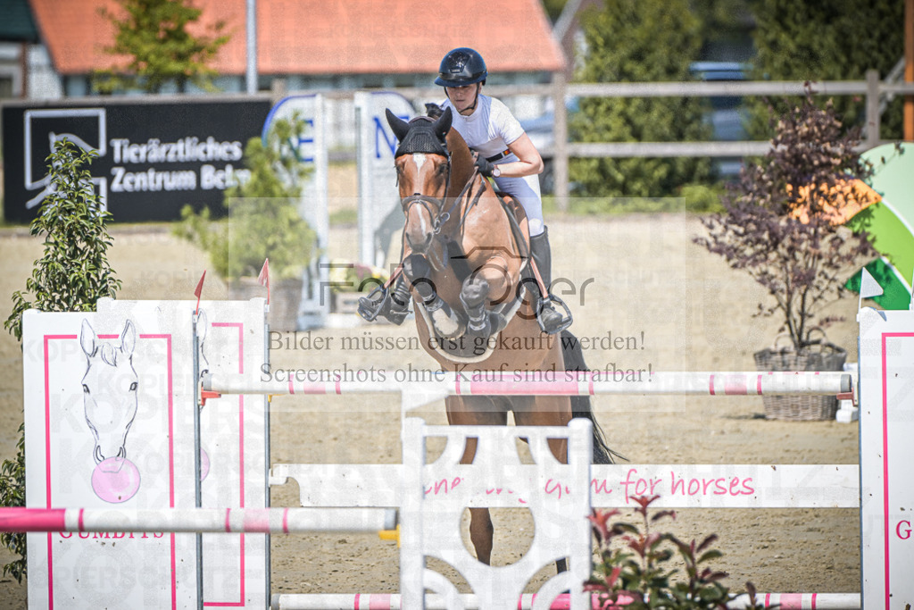 DOS_2406 | Entdecke hochwertige Reitturnierfotos von Foto Oger. Professionell, emotional und authentisch – jetzt Lieblingsmomente im Shop bestellen.Deutschlandweite Turnierfotografie. - Realisiert mit Pictrs.com