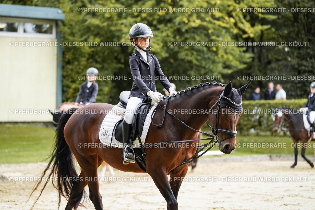 DSC05103 | Pferdegrafie