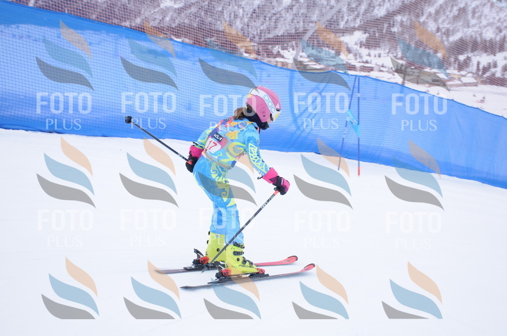 DSC_7679 | holidayphoto