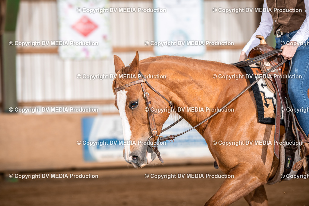 Balingen Tag 2-846 | dv-media-shop - Realisiert mit Pictrs.com