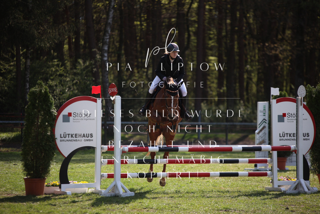 IMGT9181 | pl-fotografie