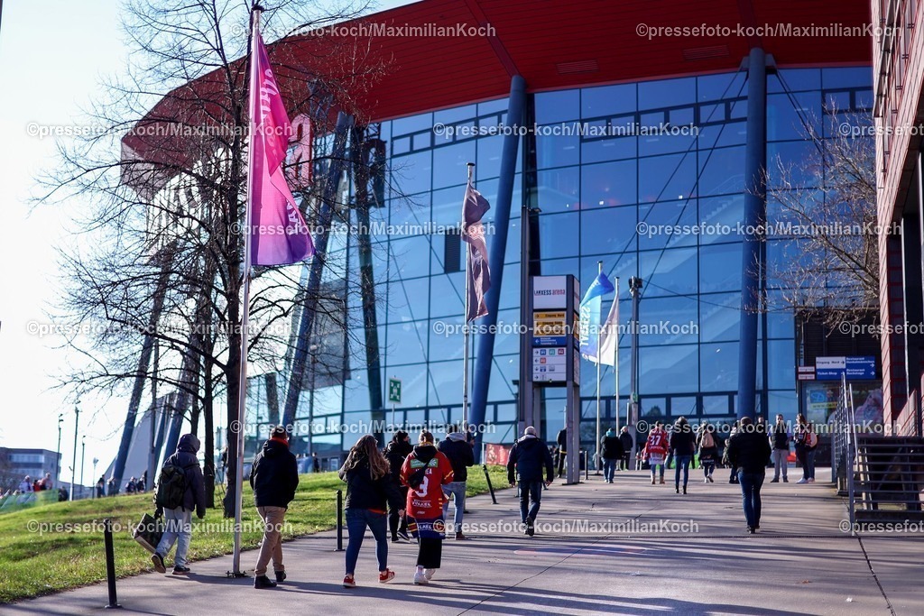 KEC16022501002 | 16.02.2025, Eishockey, DEL, Kölner Haie - Düsseldorfer EG, Lanxess-Arena Köln: Feature Fans Symbolbild Symbolfoto Eishockeyfans der DEG auf dem Weg in die Arena
