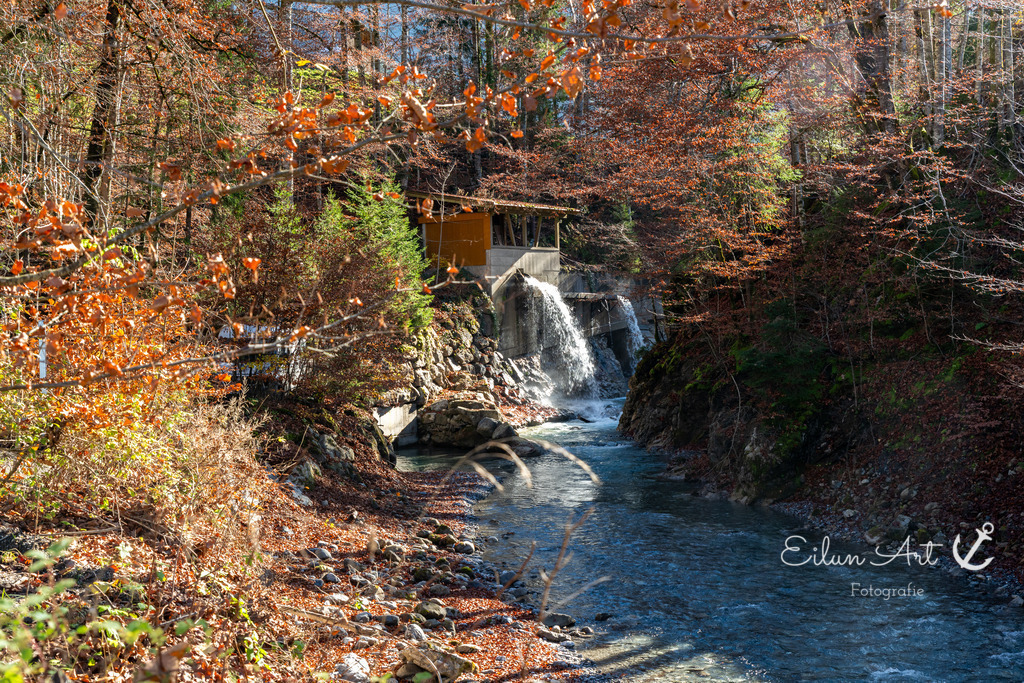 20241031-EAF_5337 | Eilun-Art-Fotografie Levke Martens, ihre Fotografin für Immobilien- und Landschaftsfotografie auf Föhr, Föhrer Motive als Poster, Leinwand, hinter Acrylglas oder stelle dir deinen eigenen Monatskalender zusammen, mit nur einem Klick