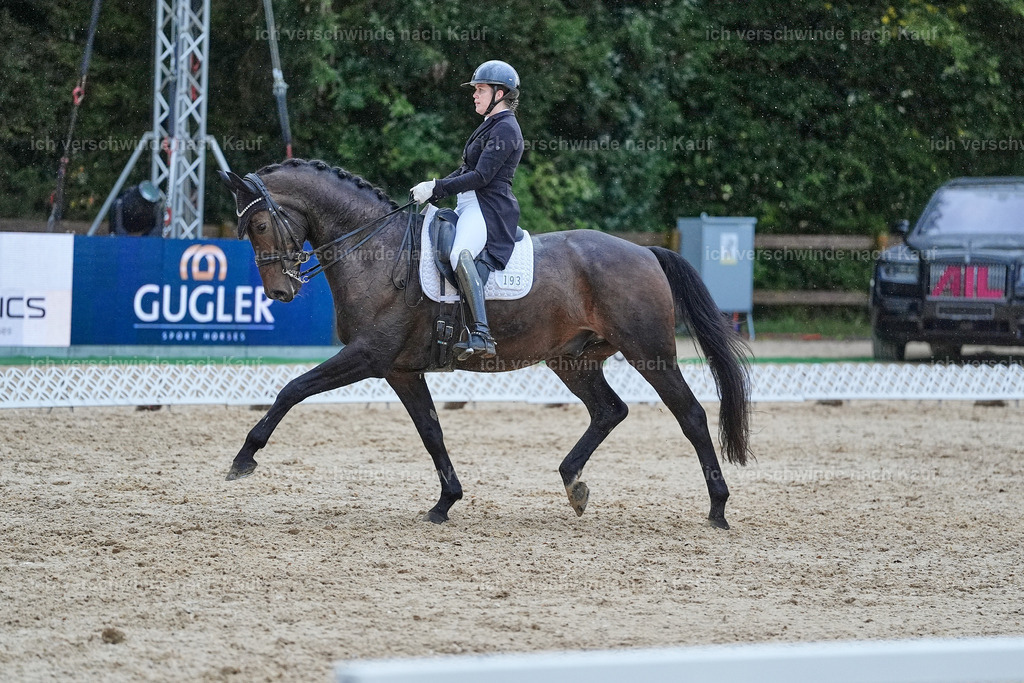 8_2-193-DRESSUR S_  -StoibPH-4511 | working equitationturnier fotograf videograf stoibphotography marixx film working equitation deutschland reitsport turnierfotografie eventfotografie equestrian events