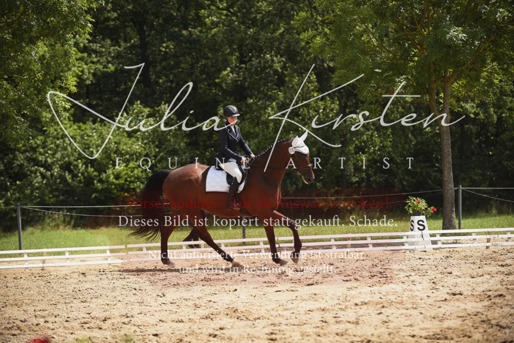 DSC_1472 | Pferde- und Turnierfotografie in Westsachsen. Pferdeportraits, Auftragszeichnungen und intuitive Kunst.