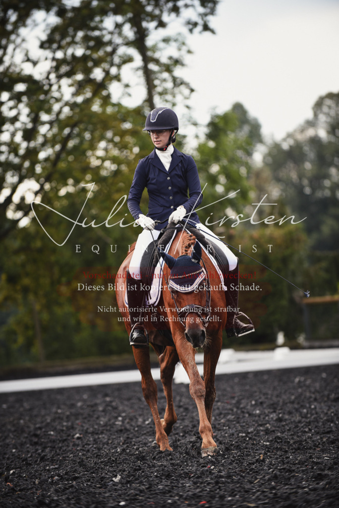DSC_3811 | Pferde- und Turnierfotografie in Westsachsen. Pferdeportraits, Auftragszeichnungen und intuitive Kunst.