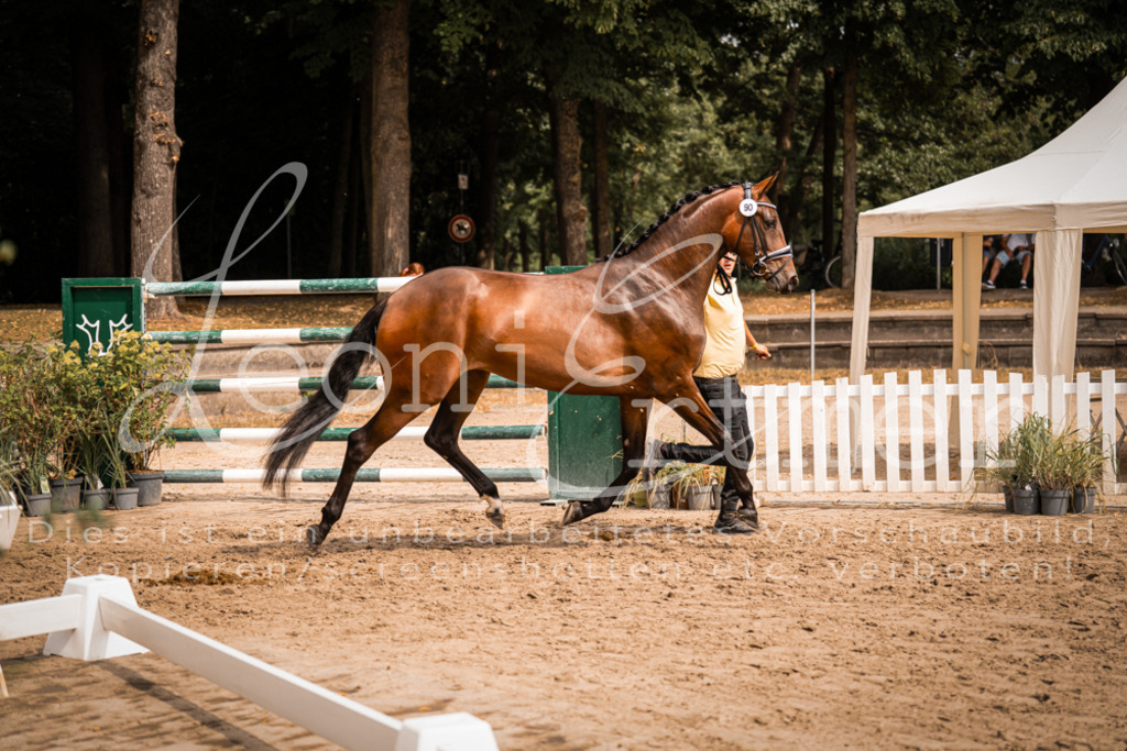 6.Fr00068 | Leoni Ertmer Photography - Realisiert mit Pictrs.com