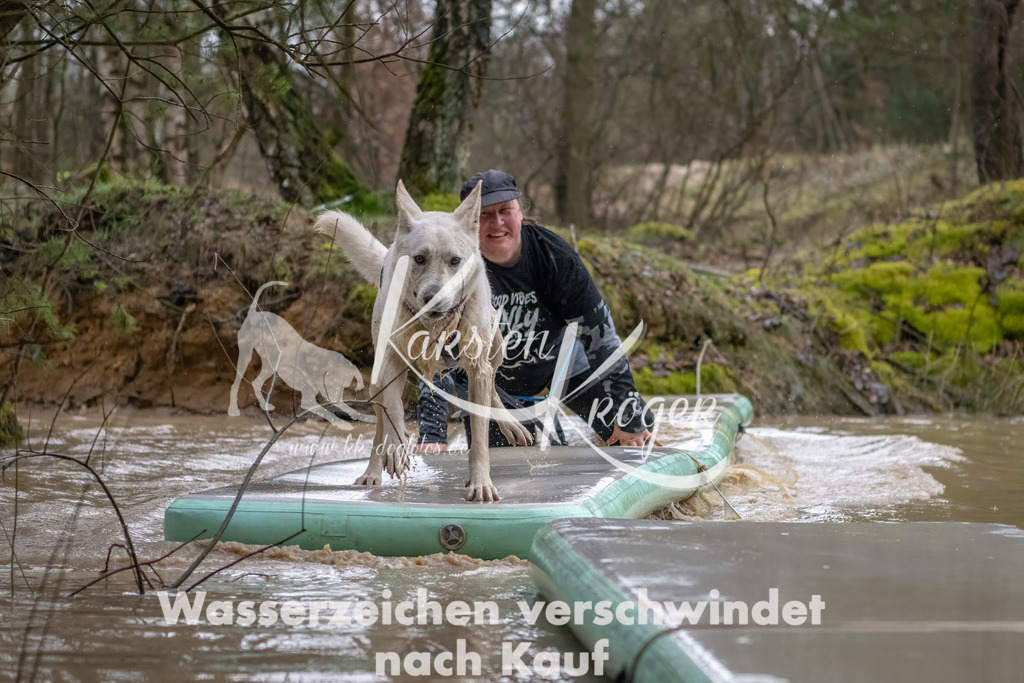 0922_ZZ90755-Bearbeitet | kk-dogfotos