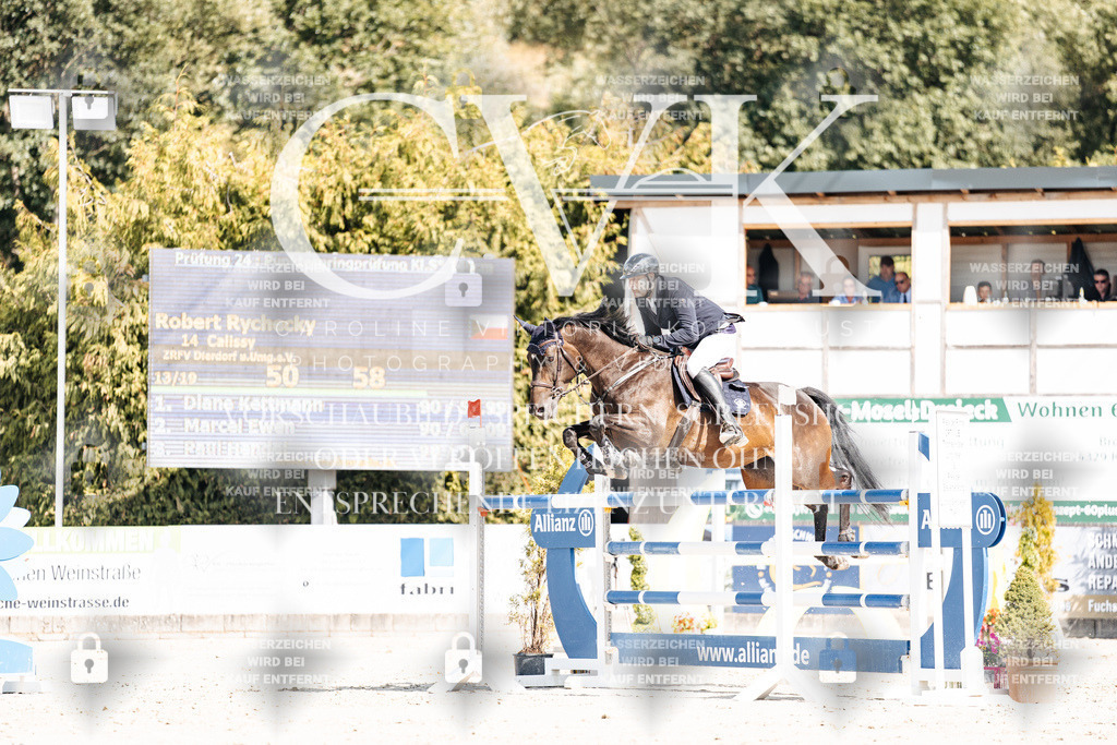 CK909014 | Turnierfotografie Pferdefotografie Trier Rheinland-Pfalz Pferdesport Reitsport Tierfotografie Sportfotografie Pferdevideo Pferdevideografie Equestrianvideography equestrianphotography  - Realisiert mit Pictrs.com