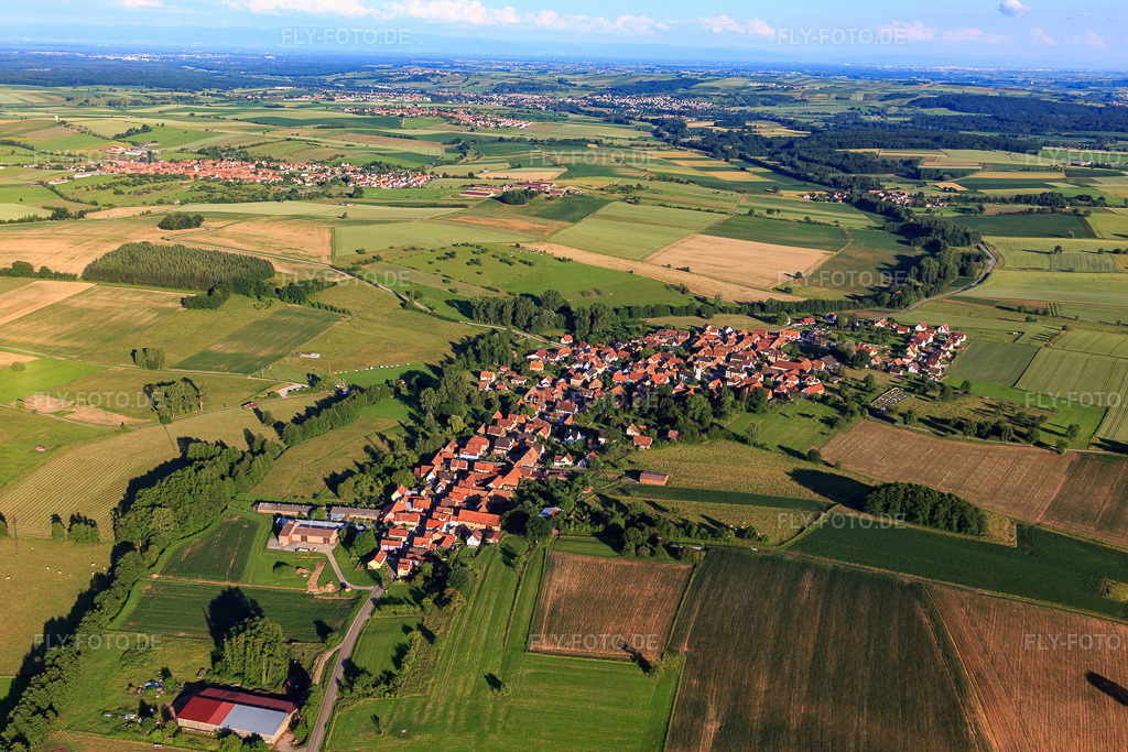 Luftbild: Ortsansicht aus Norden in Mulhausen im Bundesland Bas-Rhin in Frankreich. – Foto: IMG_115427.jpg vom 16.06.2019 durch Werner Riehm/FLY-FOTO.de – Auflösung des Originals: 5472 x 3648 px