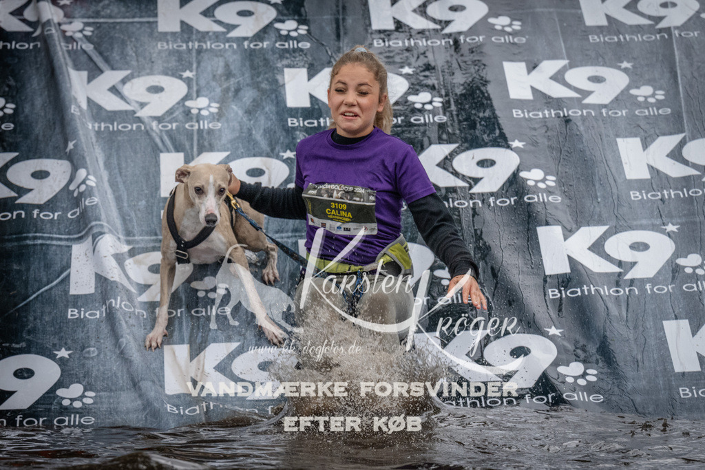 1155_ZZ93889 | kk-dogfotos