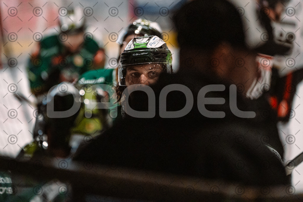 Alligators_vs_Erfurt_06_09_2026-43 | Die Fotogalerie von Daddel: professionelle Bilder von Sport, Events und Unternehmen aus Franken. Jetzt Galerien durchstöbern und Lieblingsfotos bestellen. - Realisiert mit Pictrs.com