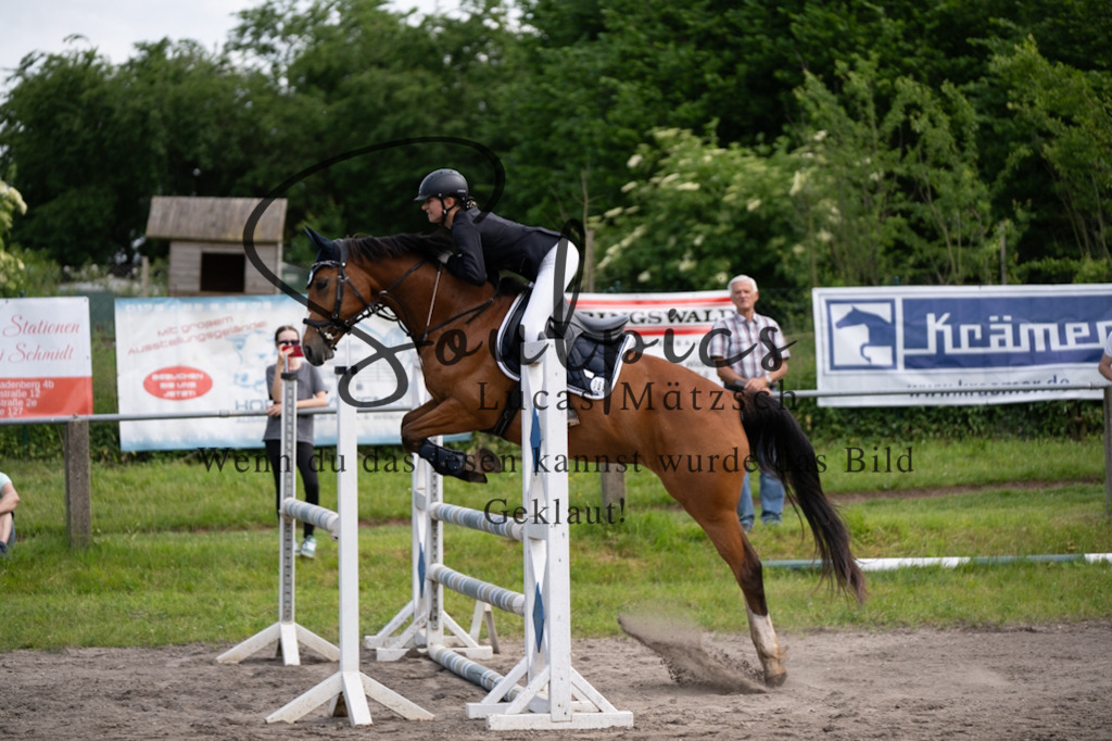 A7V04823 | Pferdefotograf