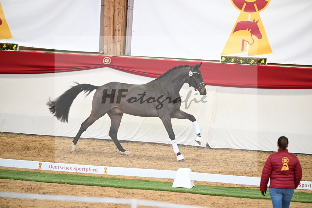 Kat.-Nr. 51 v. Donkey Boy_Lenzen_2250214 | hf-fotografie - Realisiert mit Pictrs.com