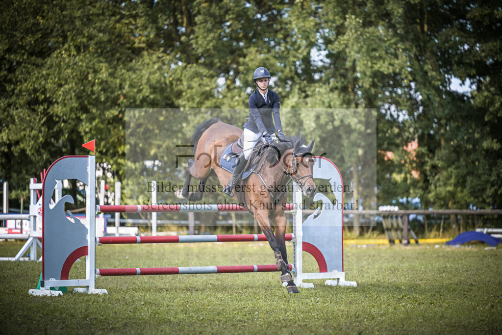 DOS_0314 | Entdecke hochwertige Reitturnierfotos von Foto Oger. Professionell, emotional und authentisch – jetzt Lieblingsmomente im Shop bestellen.Deutschlandweite Turnierfotografie. - Realisiert mit Pictrs.com