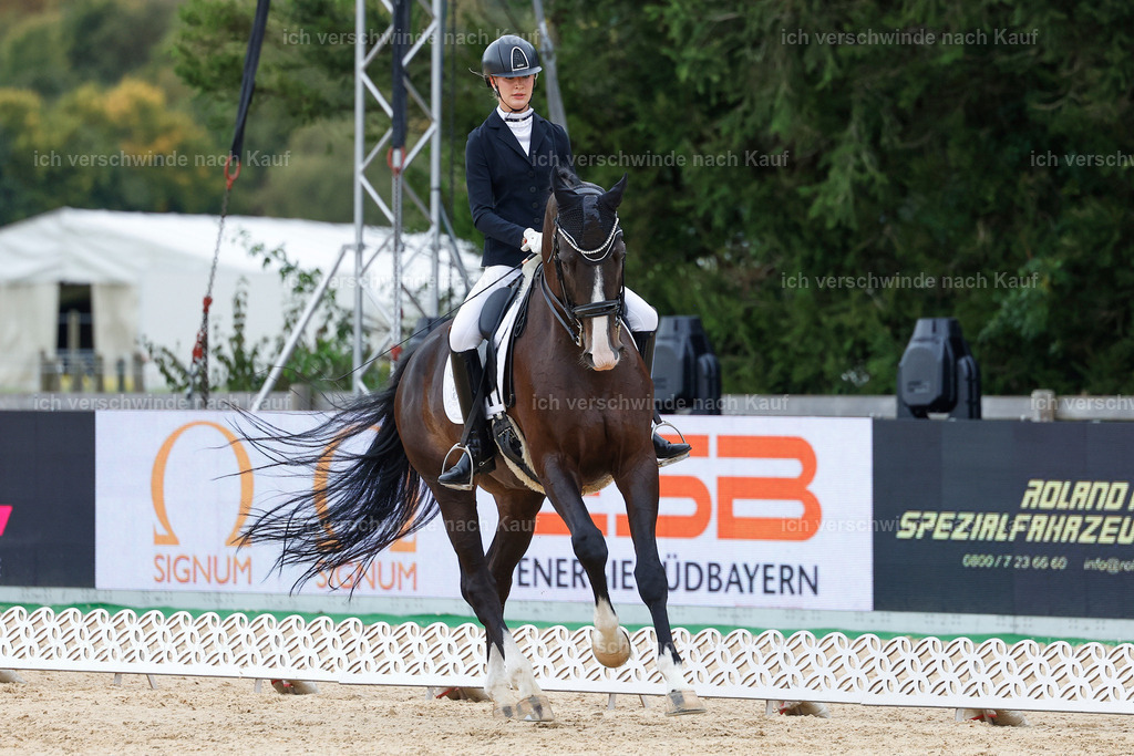 3-147-Dressur M_-StoibPH-2370 | working equitationturnier fotograf videograf stoibphotography marixx film working equitation deutschland reitsport turnierfotografie eventfotografie equestrian events