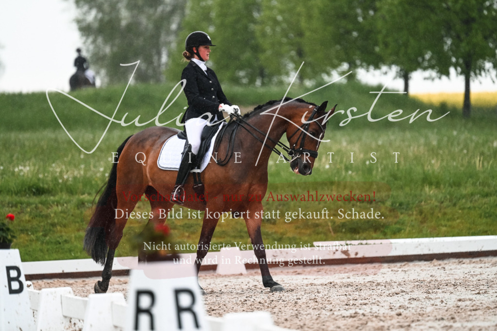 DSC_4586 | Pferde- und Turnierfotografie in Westsachsen. Pferdeportraits, Auftragszeichnungen und intuitive Kunst.