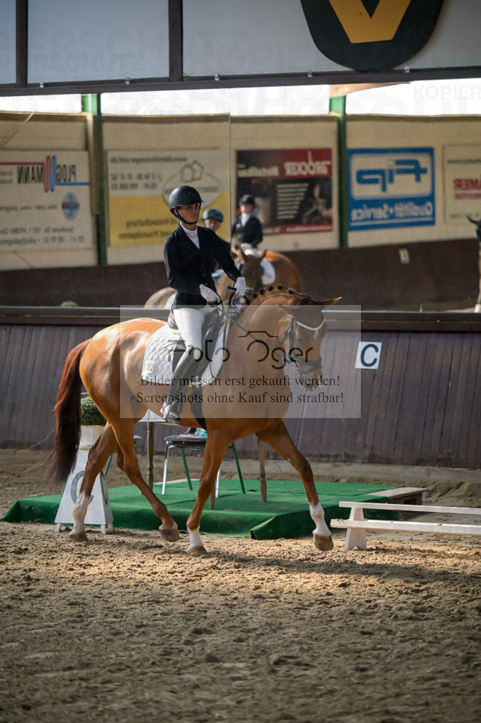Reitturnier Voxtrup | Entdecke hochwertige Reitturnierfotos von Foto Oger. Professionell, emotional und authentisch – jetzt Lieblingsmomente im Shop bestellen.Deutschlandweite Turnierfotografie. - Realisiert mit Pictrs.com