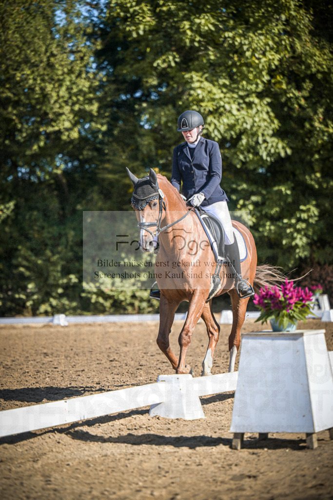 DOS_1840 | Entdecke hochwertige Reitturnierfotos von Foto Oger. Professionell, emotional und authentisch – jetzt Lieblingsmomente im Shop bestellen.Deutschlandweite Turnierfotografie. - Realisiert mit Pictrs.com