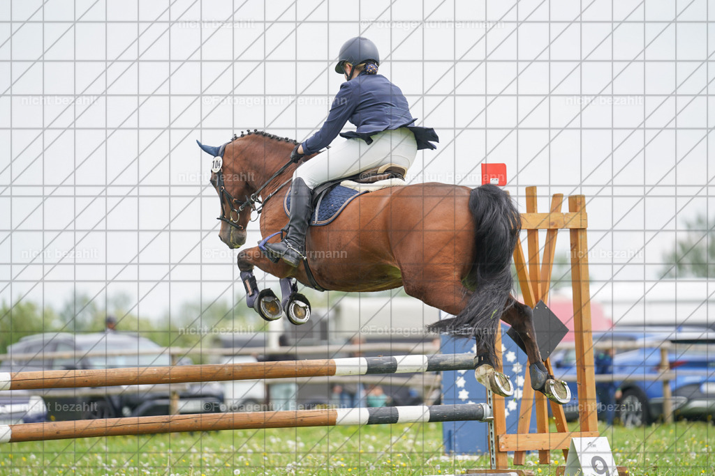 20240509-FAH02678 | Turnierbilder der Turnierfotografen Bayern, Pferdesport Fotografie, Reitsportbilder, Turnier Landberg am Lech, Turnierbilder bayern, Fotoagentur Herrmann