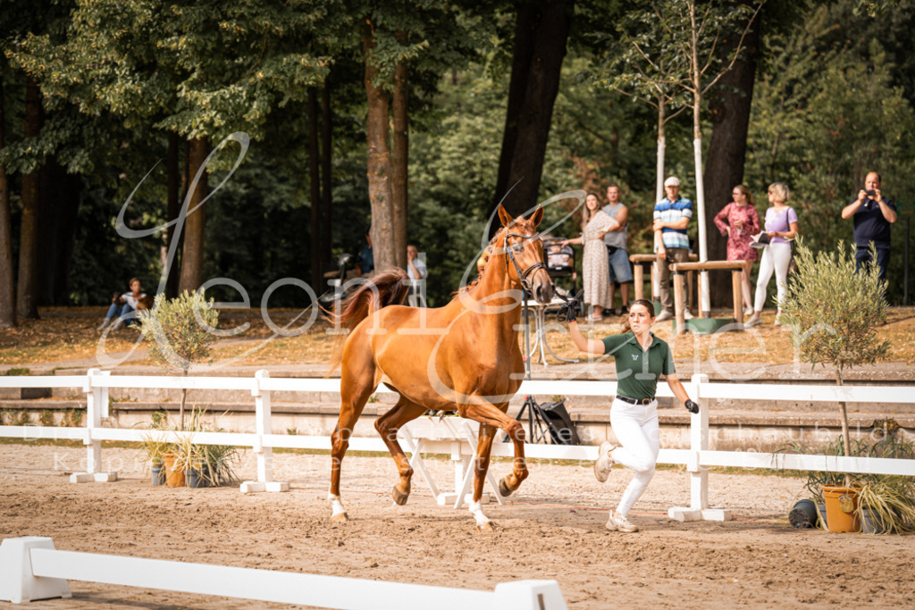 7.Fr00059 | Leoni Ertmer Photography - Realisiert mit Pictrs.com