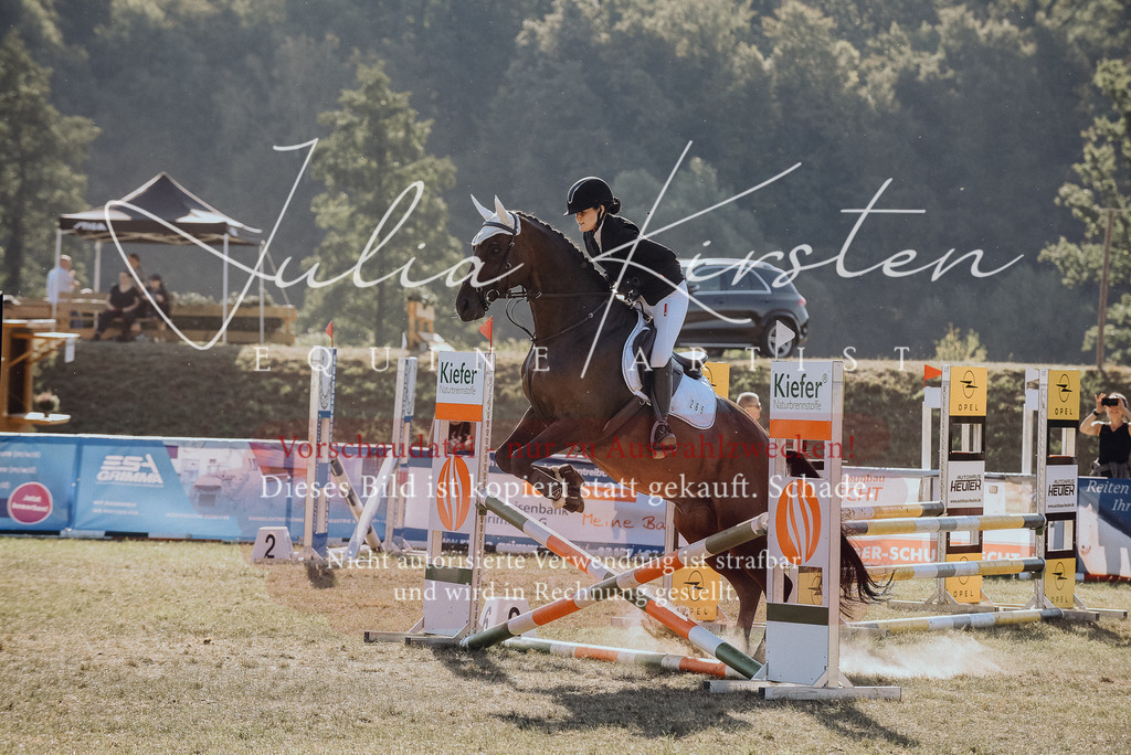 DSC_5636 | Pferde- und Turnierfotografie in Westsachsen. Pferdeportraits, Auftragszeichnungen und intuitive Kunst.