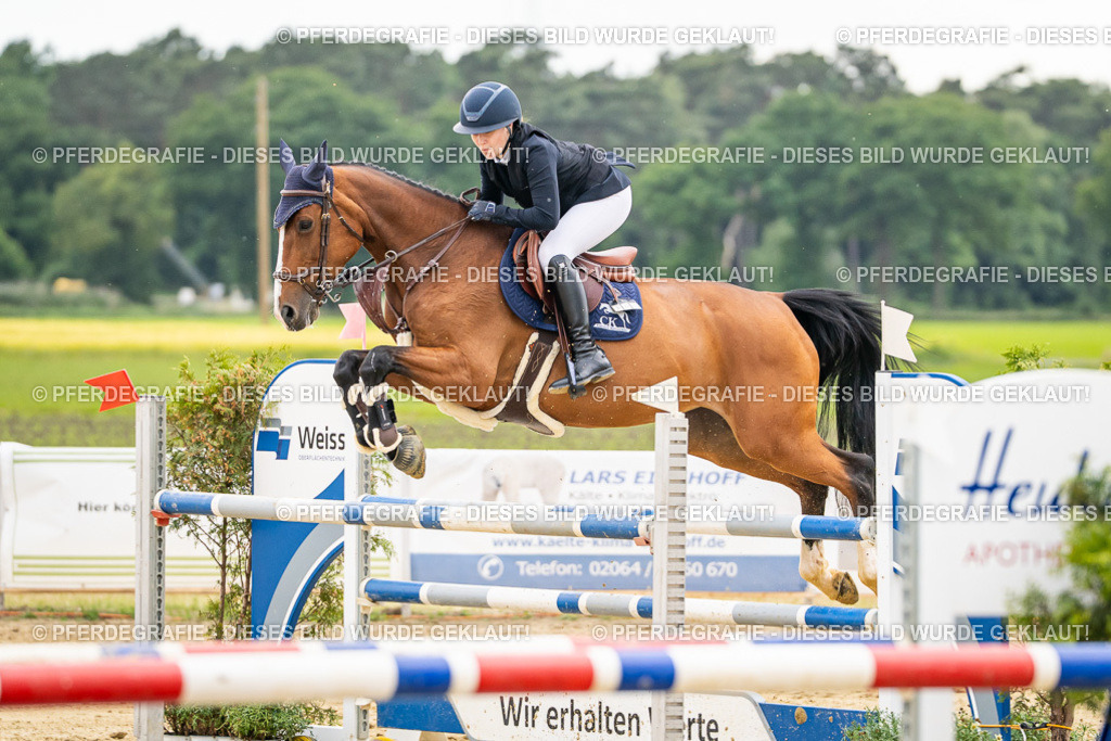 DSC06249 | Pferdegrafie