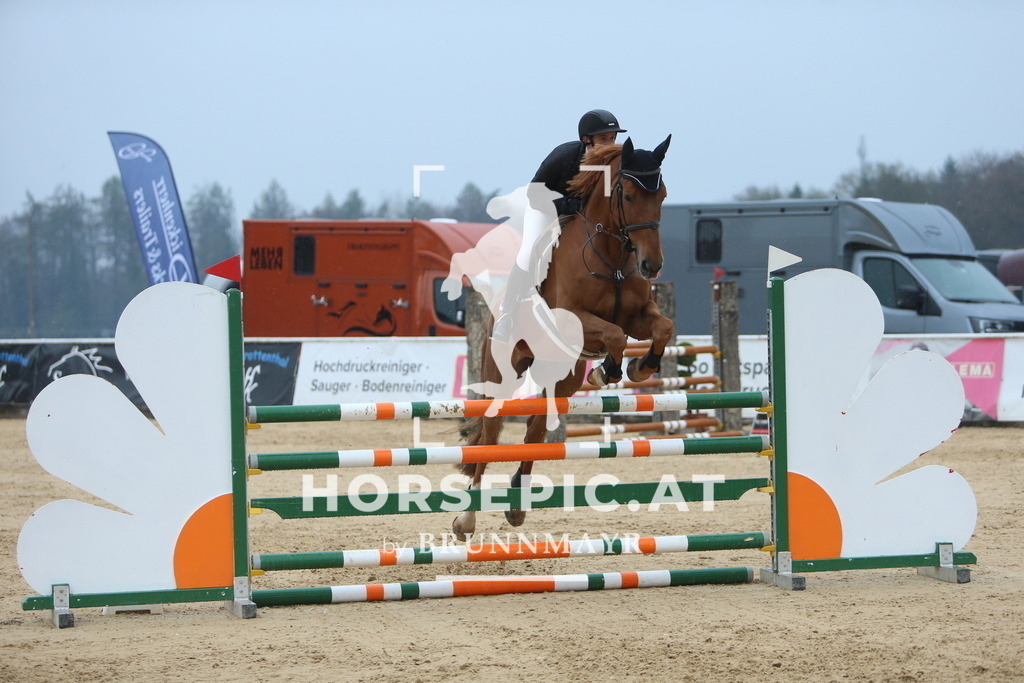 DL2Q6869 | Willkommen bei Brunnmayr - Design & Fotografie – Ihrem Spezialisten für Reitturniere und Pferdeveranstaltungen in Oberösterreich, Salzburg und Bayern! Seit über 17 Jahren sind wir leidenschaftlich dabei.