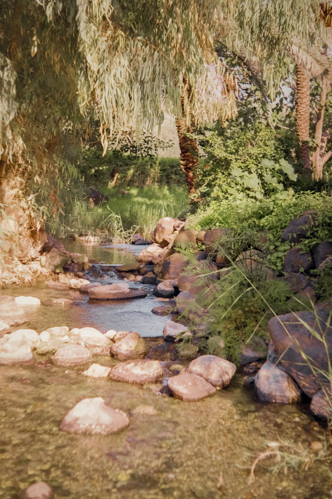 Landschaft in Israel | Online Shop für Christen: Christliche Poster XXL, Plakate, Wandbilder als Leinwand & christliche Postkarten, Kalender, Sticker & Lizenzen zum Download. Die Kunstwerke im christliche Geschenke Shop zeigen die Jahreslosung 2025, Gott, Jesus & mehr.