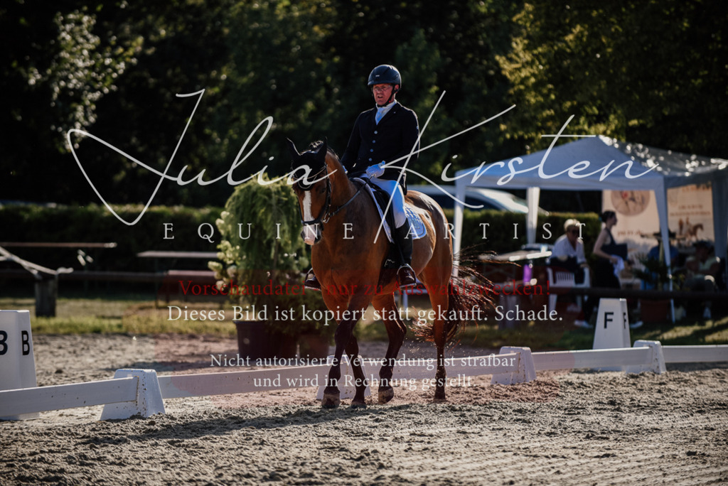 DSC_0598 | Pferde- und Turnierfotografie in Westsachsen. Pferdeportraits, Auftragszeichnungen und intuitive Kunst.