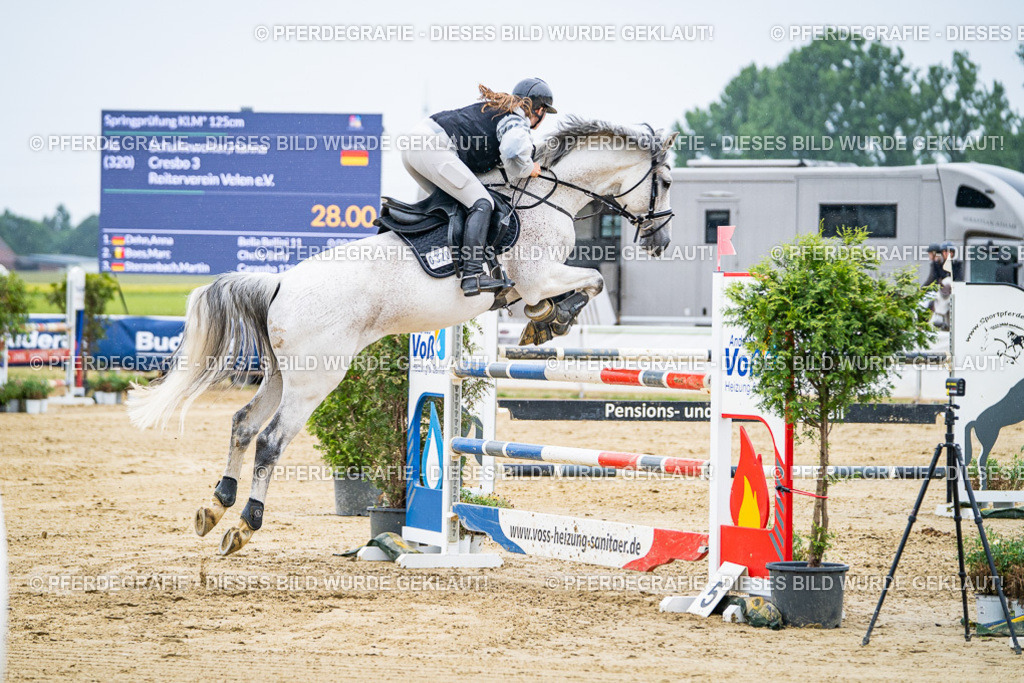 DSC08109 | Pferdegrafie