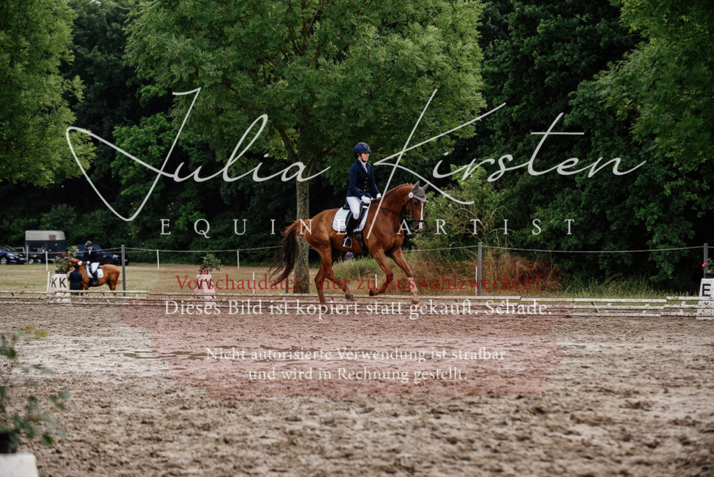 DSC_9941 | Pferde- und Turnierfotografie in Westsachsen. Pferdeportraits, Auftragszeichnungen und intuitive Kunst.