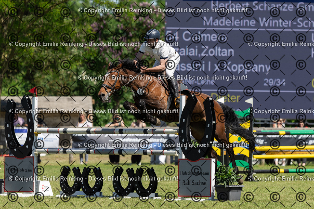 CL5A1259 | Emilia Reinking Fotografie - Realisiert mit Pictrs.com