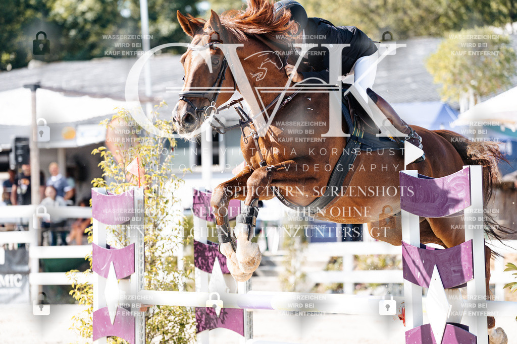 CK907887 | Turnierfotografie Pferdefotografie Trier Rheinland-Pfalz Pferdesport Reitsport Tierfotografie Sportfotografie Pferdevideo Pferdevideografie Equestrianvideography equestrianphotography  - Realisiert mit Pictrs.com