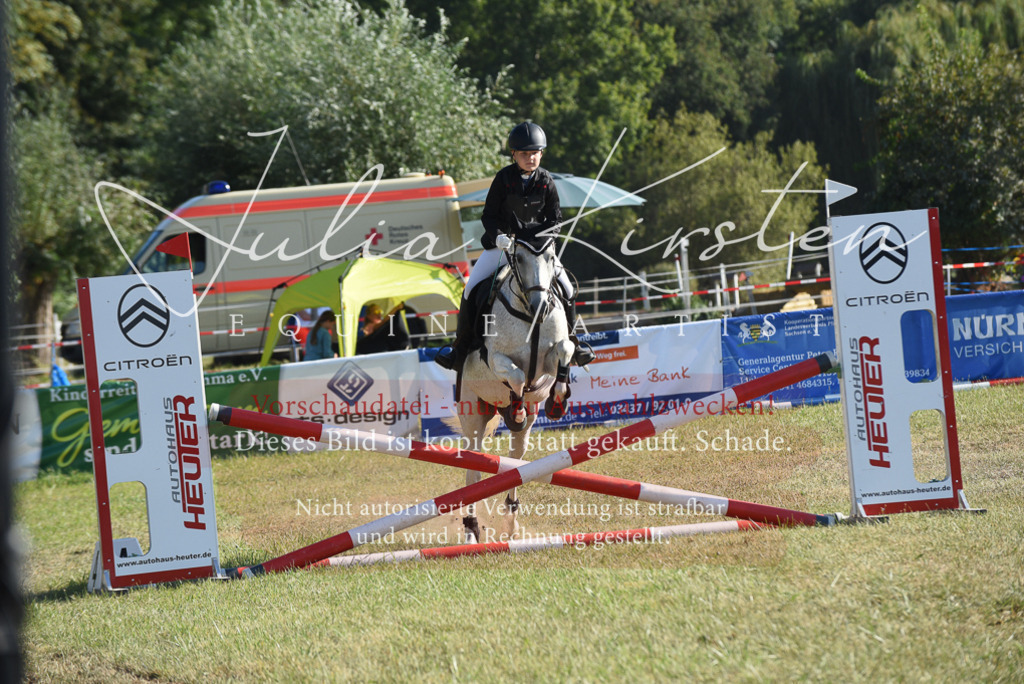 DSC_5671 | Pferde- und Turnierfotografie in Westsachsen. Pferdeportraits, Auftragszeichnungen und intuitive Kunst.