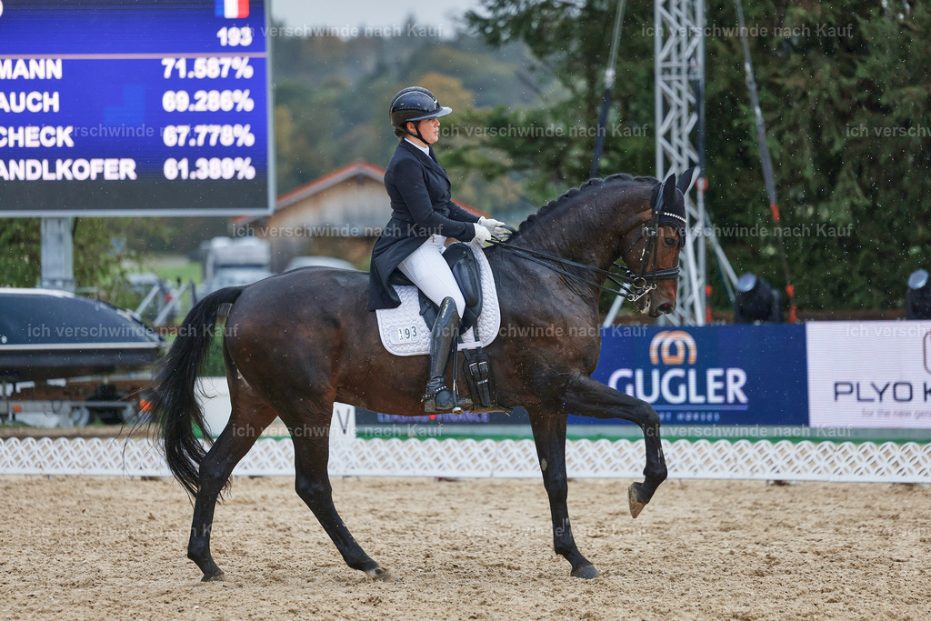 8_2-193-DRESSUR S_  -StoibPH-4504 | working equitationturnier fotograf videograf stoibphotography marixx film working equitation deutschland reitsport turnierfotografie eventfotografie equestrian events