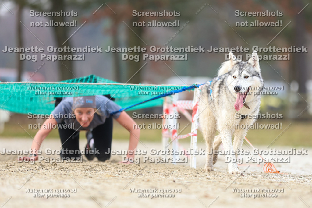 Dog Paparazzi - Strongdog North Mrz26-4064 | Dog Paparazzi Jeanette Grottendiek Fotografie & Videografie - Realisiert mit Pictrs.com