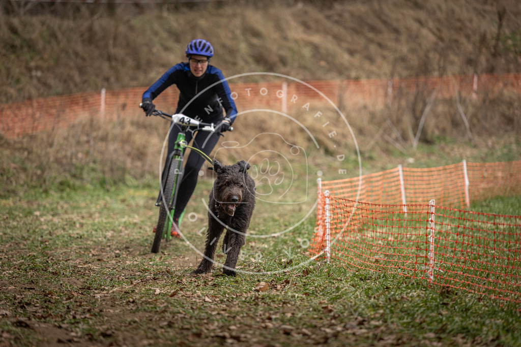 Pfotenfotografie_DV3A0624 | Hundefotografie, Tierfotograf, Pfotenfotografie, Fotoshooting Hund, Hunde Portrait, Hundesport, Hundeportraits, Heideshooting, Hunde, Sportfotograf, Hundefotograf, Turnierhundsport, THS,  - Realisiert mit Pictrs.com