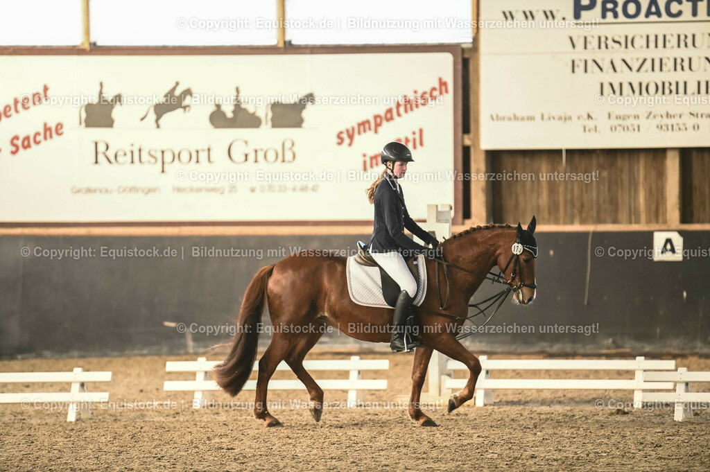 03_Reiter-WB_0075 | Foto: Thomas Hartig