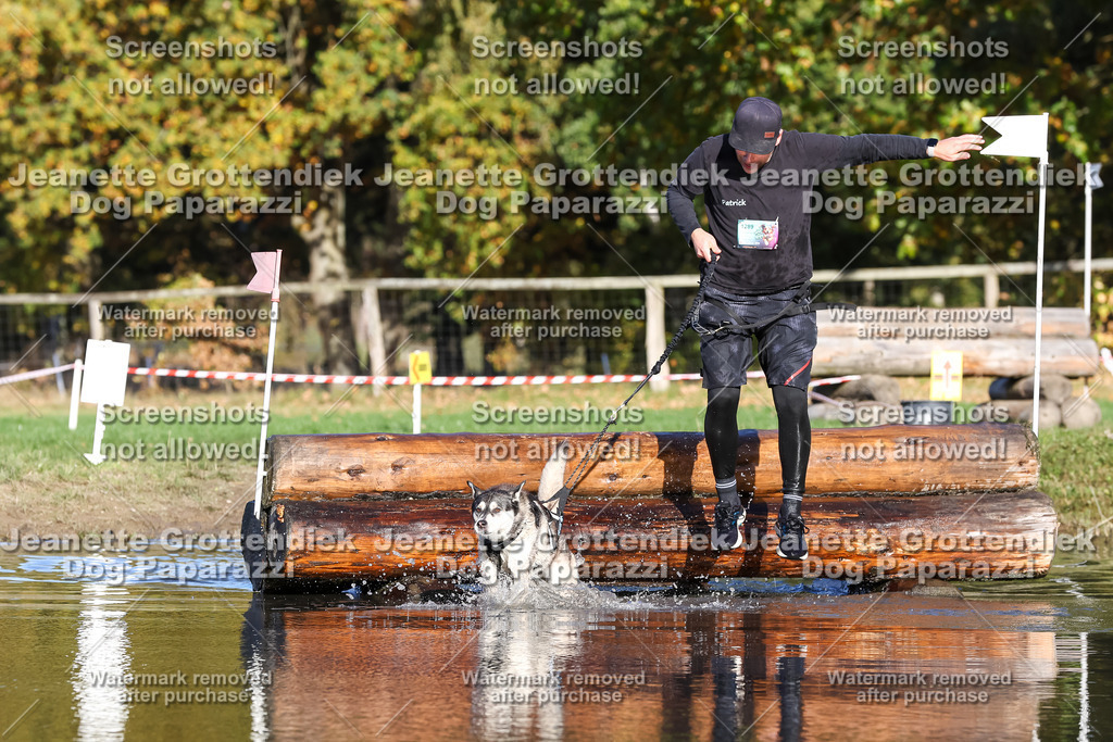 Dog Paparazzi - Strongdog 10-25-8684 | Dog Paparazzi Jeanette Grottendiek Fotografie & Videografie - Realisiert mit Pictrs.com