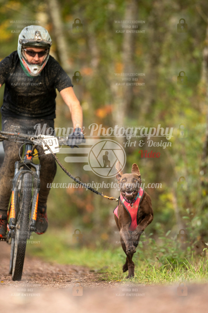 TSB_2023_E4_Bike-45 | PayLife