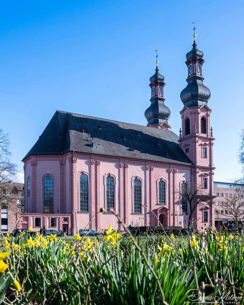 DSC_4331 2 | Fotografien, Fotos und Bilder aus Mainz, Frankfurt, Wiesbaden und anderen Orten auf der Welt - Fotografiert von Darius Metzner