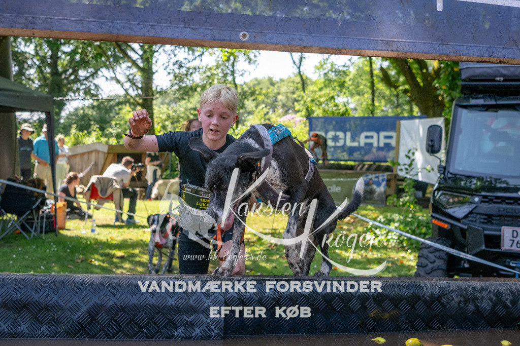 1343_ZZ92129 | kk-dogfotos