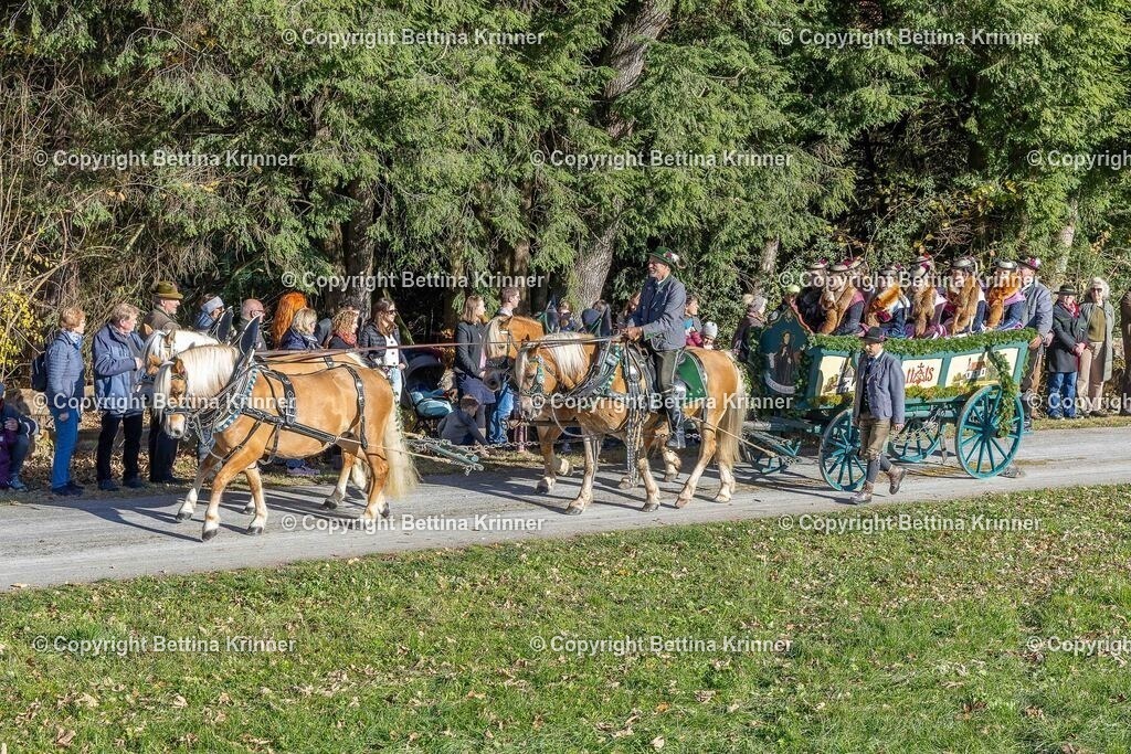 LBT25-573 | foto-bettina-krinner - Realisiert mit Pictrs.com