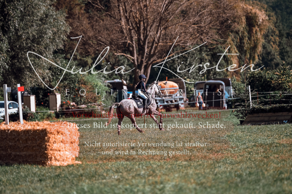 DSC_1157 | Pferde- und Turnierfotografie in Westsachsen. Pferdeportraits, Auftragszeichnungen und intuitive Kunst.