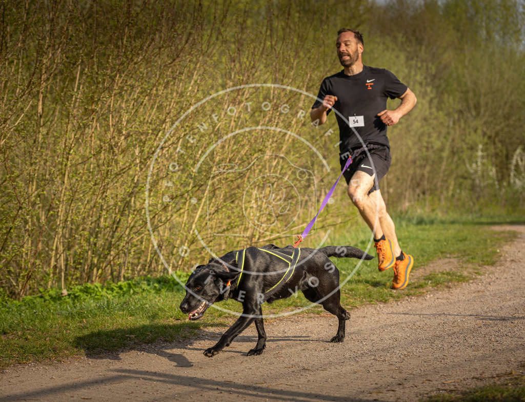 Pfotenfotografie_DV3A4635 | Hundefotografie, Tierfotograf, Pfotenfotografie, Fotoshooting Hund, Hunde Portrait, Hundesport, Hundeportraits, Heideshooting, Hunde, Sportfotograf, Hundefotograf, Turnierhundsport, THS,  - Realisiert mit Pictrs.com