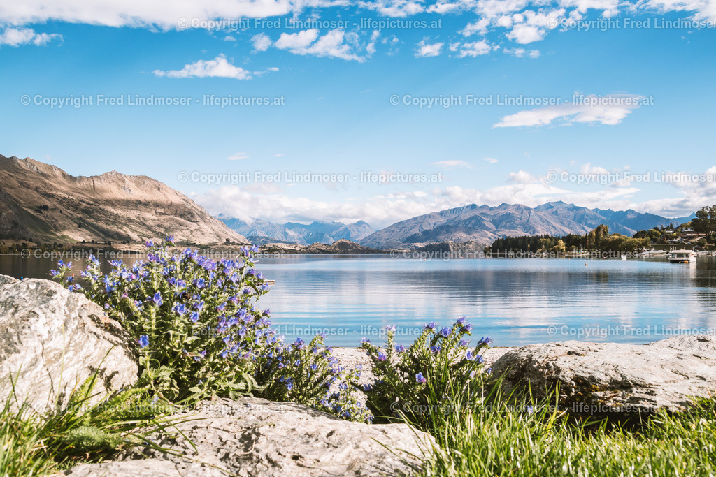 Neuseeland-1140 | Fotos und Fotoprodukte - Realisiert mit Pictrs.com