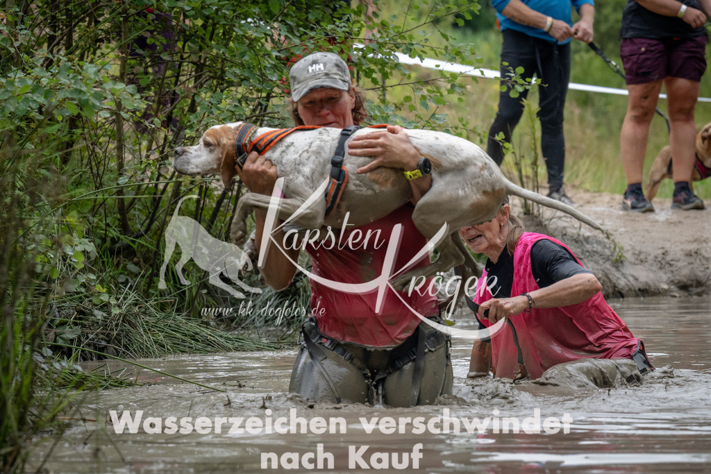 1341_ZZ91799 | kk-dogfotos