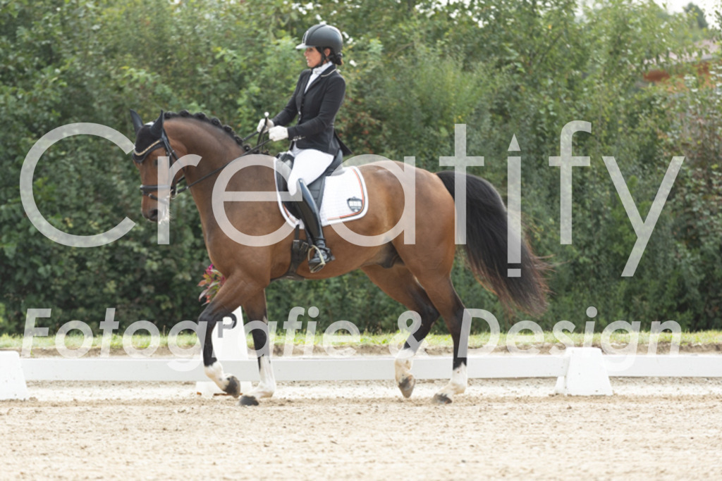 IMG_4063 | Creatify Fotografie