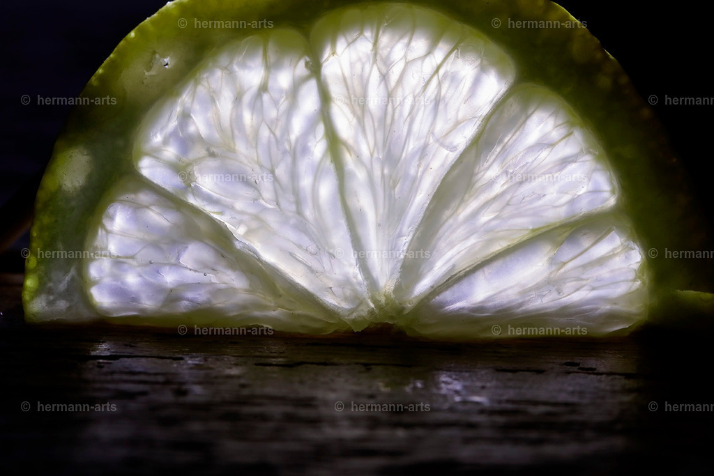 Fruits-Art-010 | Photo Foto Kunst Art schwarzweiss Bilder Rheine Münster Berlin Blumen 